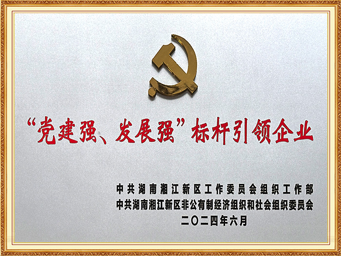 Model Enterprise for Exemplary Party Building and Development Excellence in Hunan Xiangjiang New Area