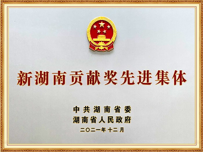 Advanced Group of the First "New Hunan" Contribution Award