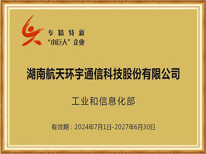 National-level Key Specialized, Sophisticated, Distinctive, and Innovative Little Giant Enterprise