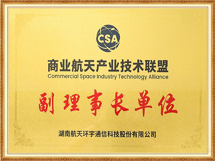 Vice Chair Organization of the Commercial Aerospace Industry Technology Alliance